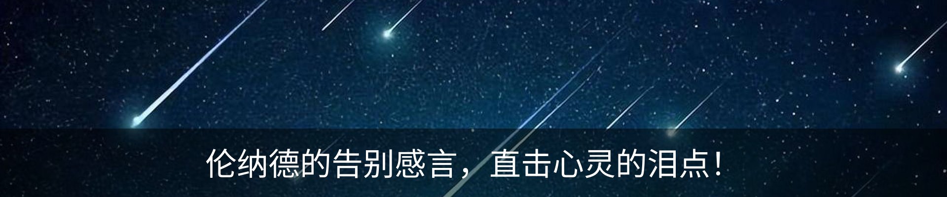 内页banner
